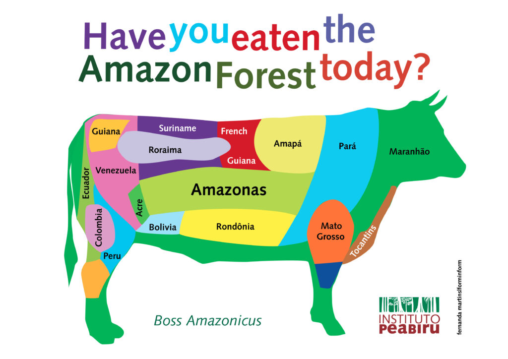 Haver you eaten the amazon forest today? Cow image